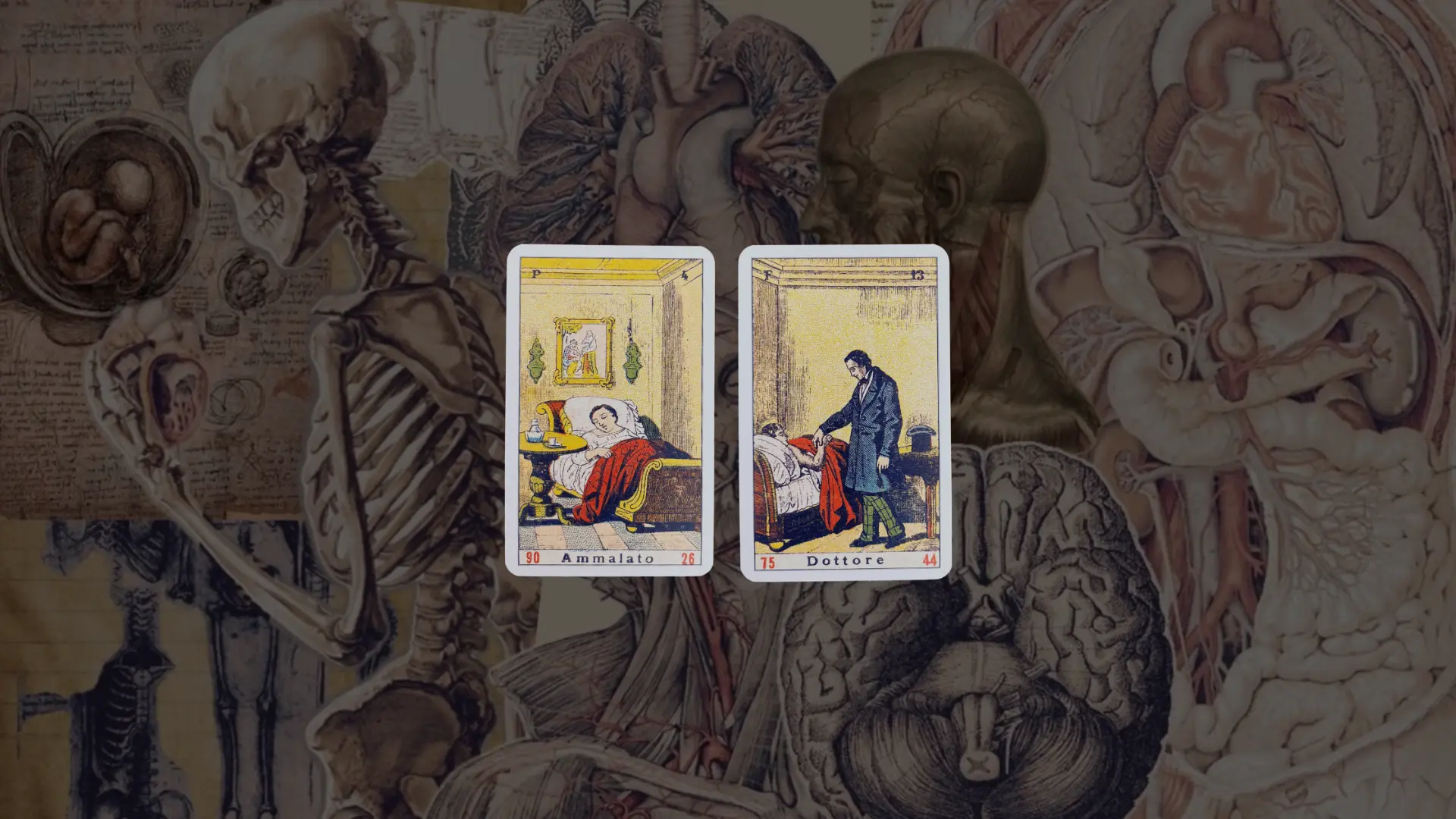 Cartas Doente e Doutor da Vera Sibilla sobre uma colagem de ilustrações anatômicas